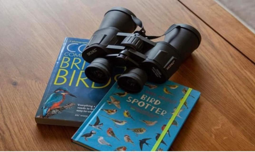 Вилла The Gull & Puffin Cresswell Cresswell  Экстерьер фото